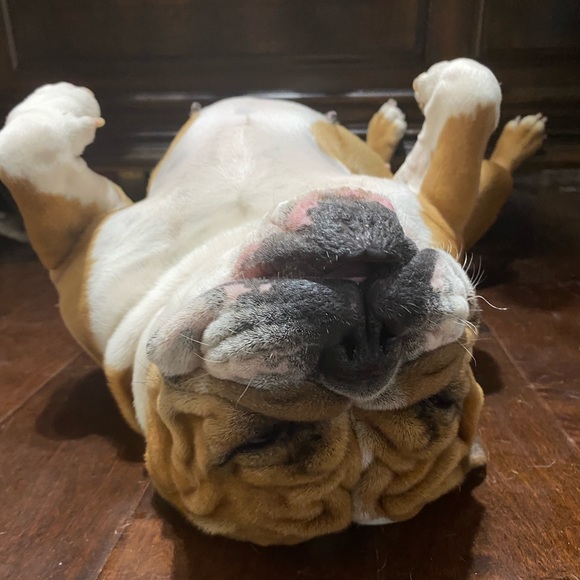 Meet your Posher, Carrie! Posh Ambassador!!🤩 - Picture 7 of 13